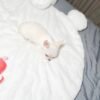 MICKEY (4) Mickey
