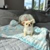 Zoey