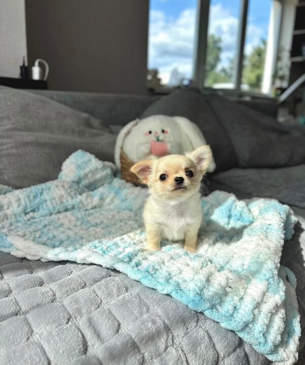 Zoey