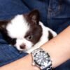 Charlie
