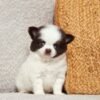 Charlie