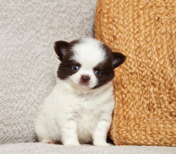 Charlie