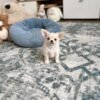 chloe (4) Chloe
